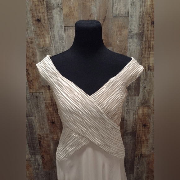 NWT URSULA OF SWITZERLAND CHAMPAGNE CHIFFON MOTHER OF BRIDE GOWN DRESS SZ 12 NEW - Picture 2 of 6